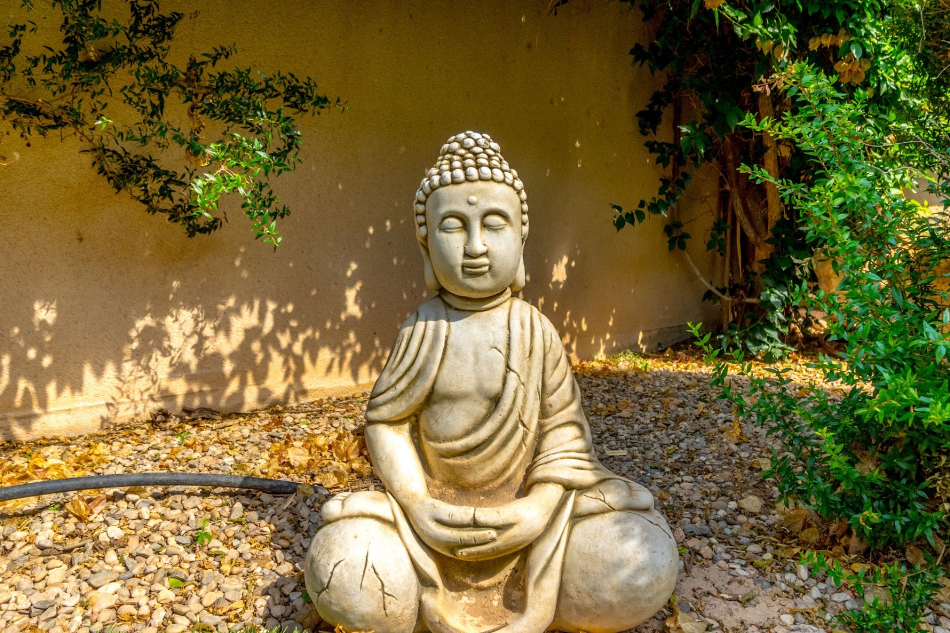 Gensalg - Villa -
Villamartín - Los Dolses