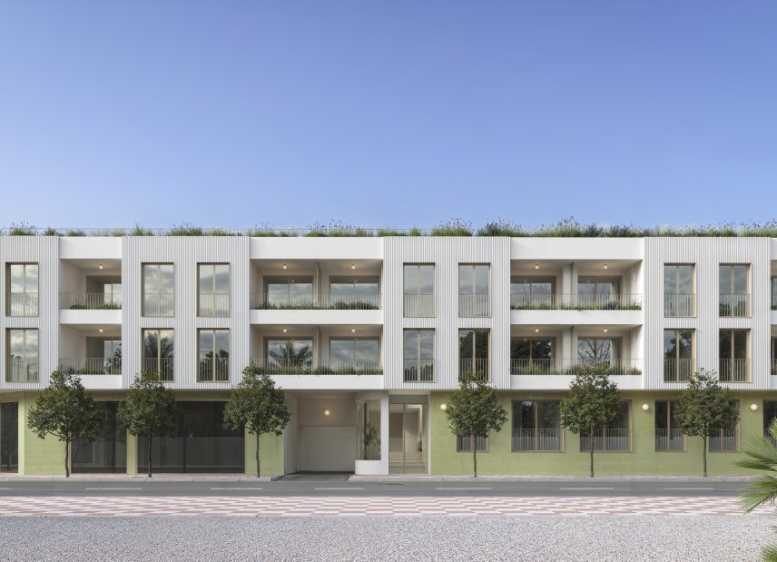 New Build - Apartment -
Jacarilla