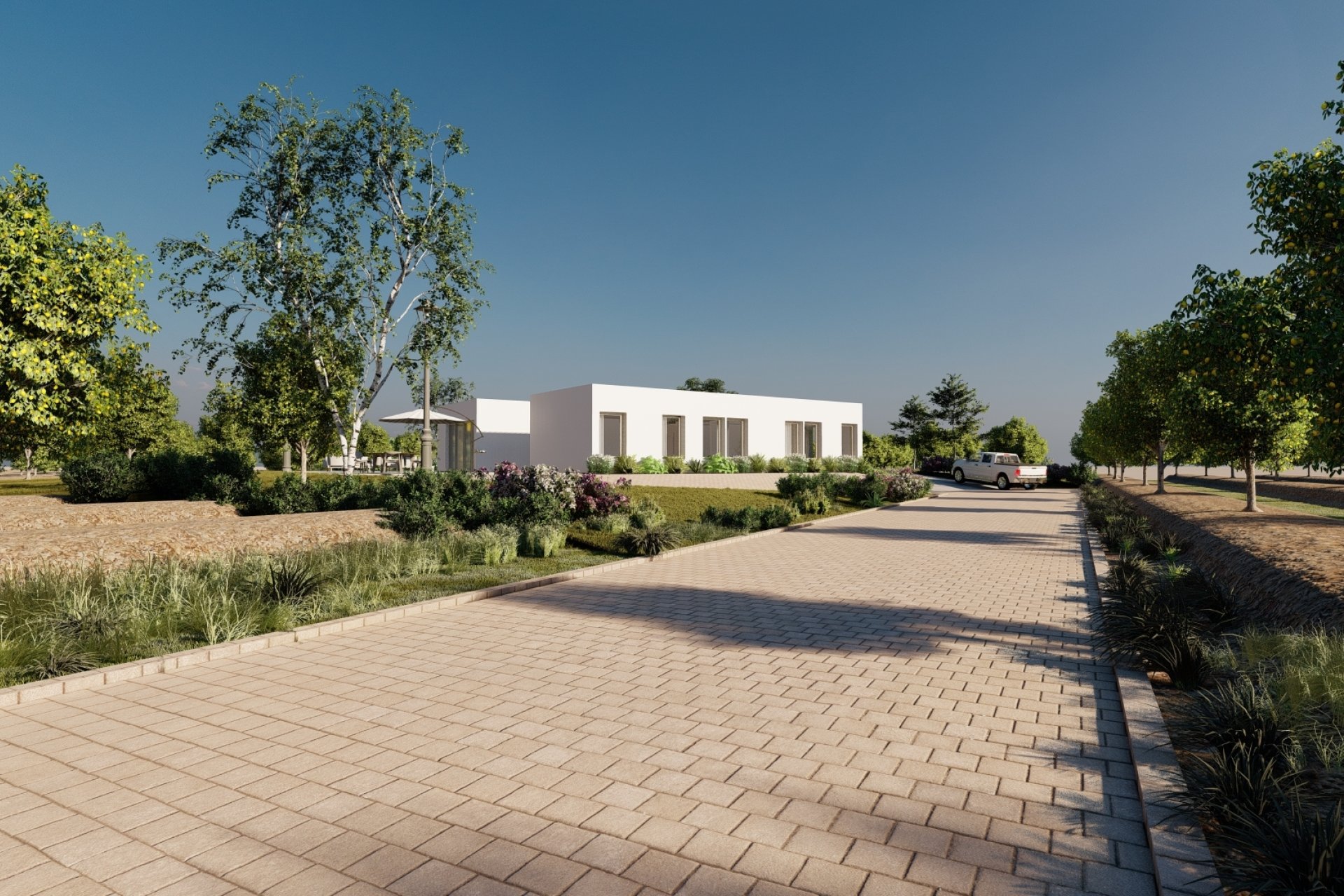 New Build - Villa -
Algorfa