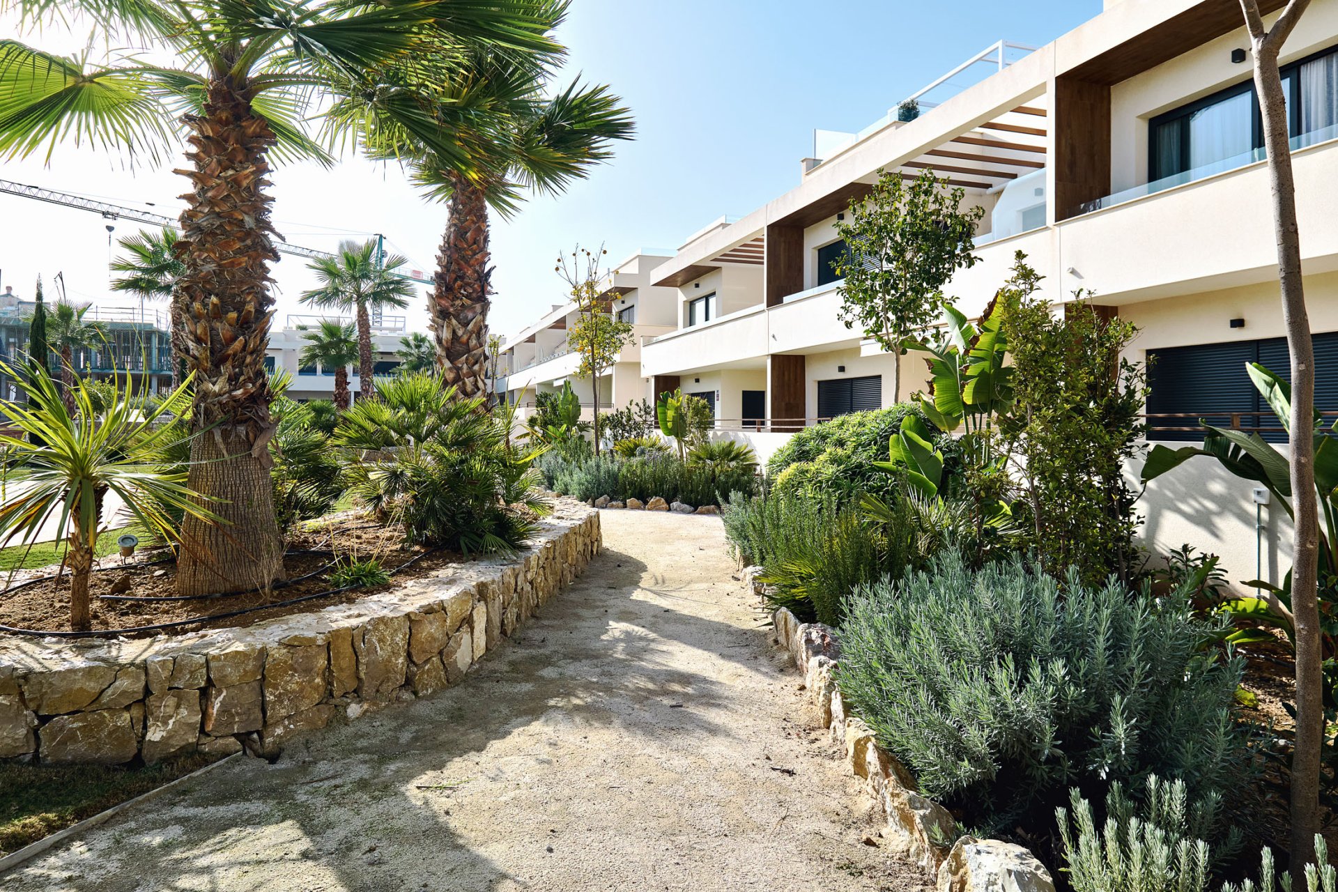 Nybyggeri - Lejlighed -
Torrevieja