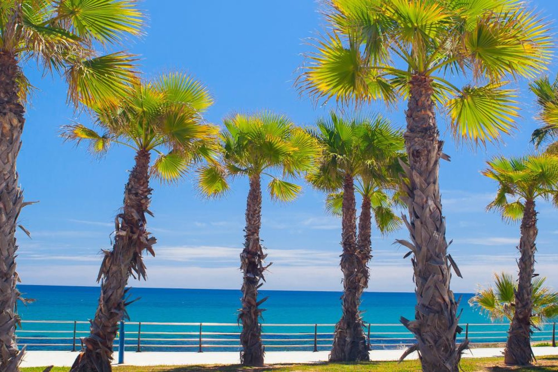 Nybyggeri - Rækkehus -
Orihuela Costa
