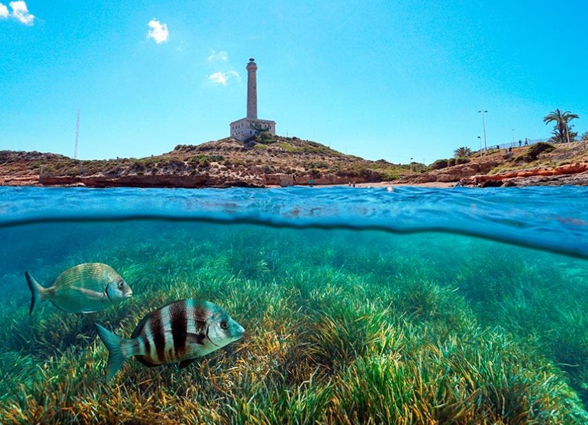 Nybyggeri - Villa -
Islas Menores