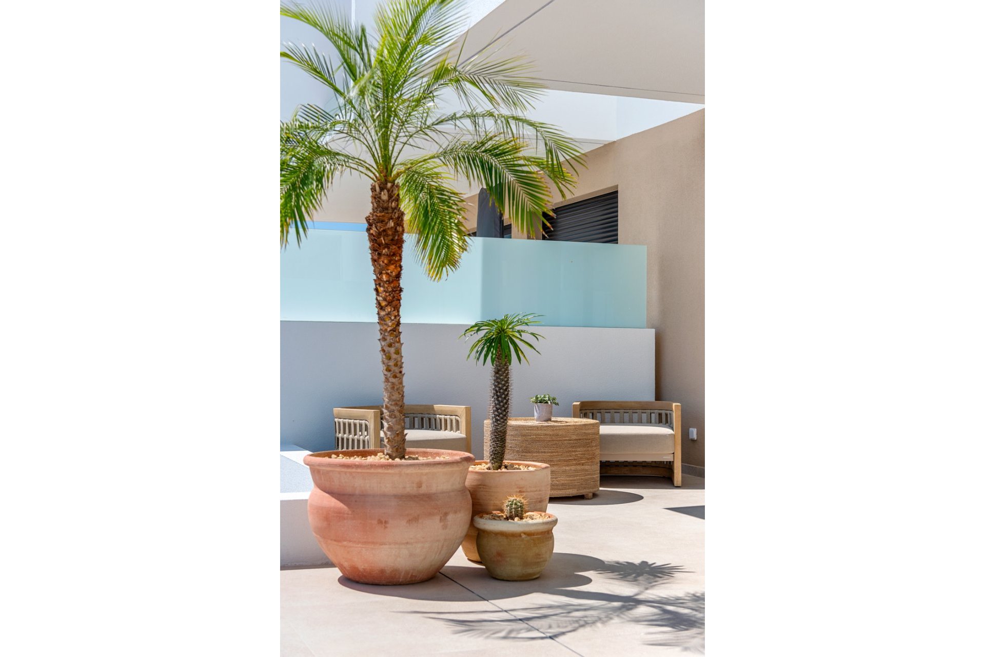 Obra nueva - Adosado -
Dolores