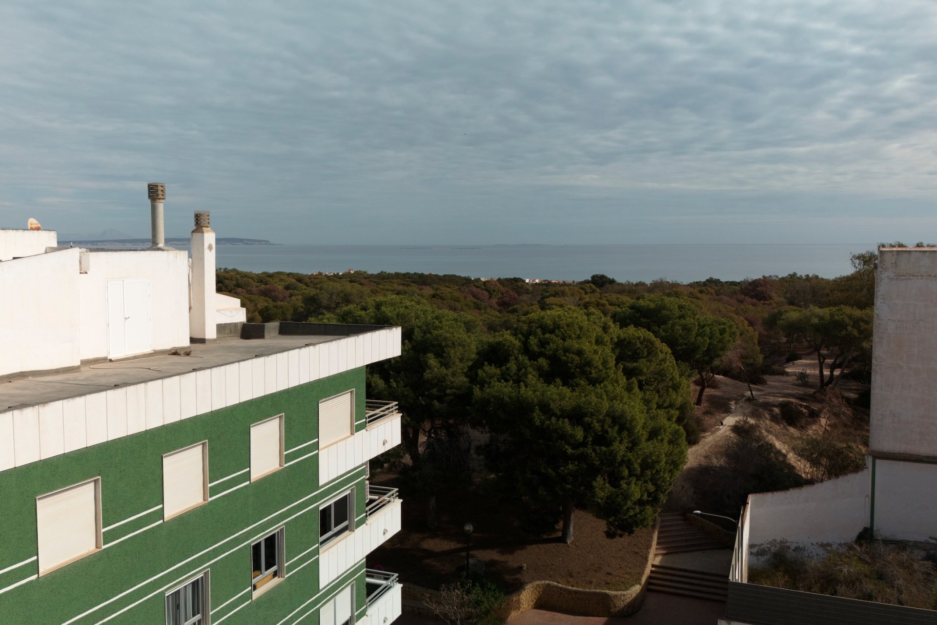 Obra nueva - Apartamento -
Guardamar del Segura