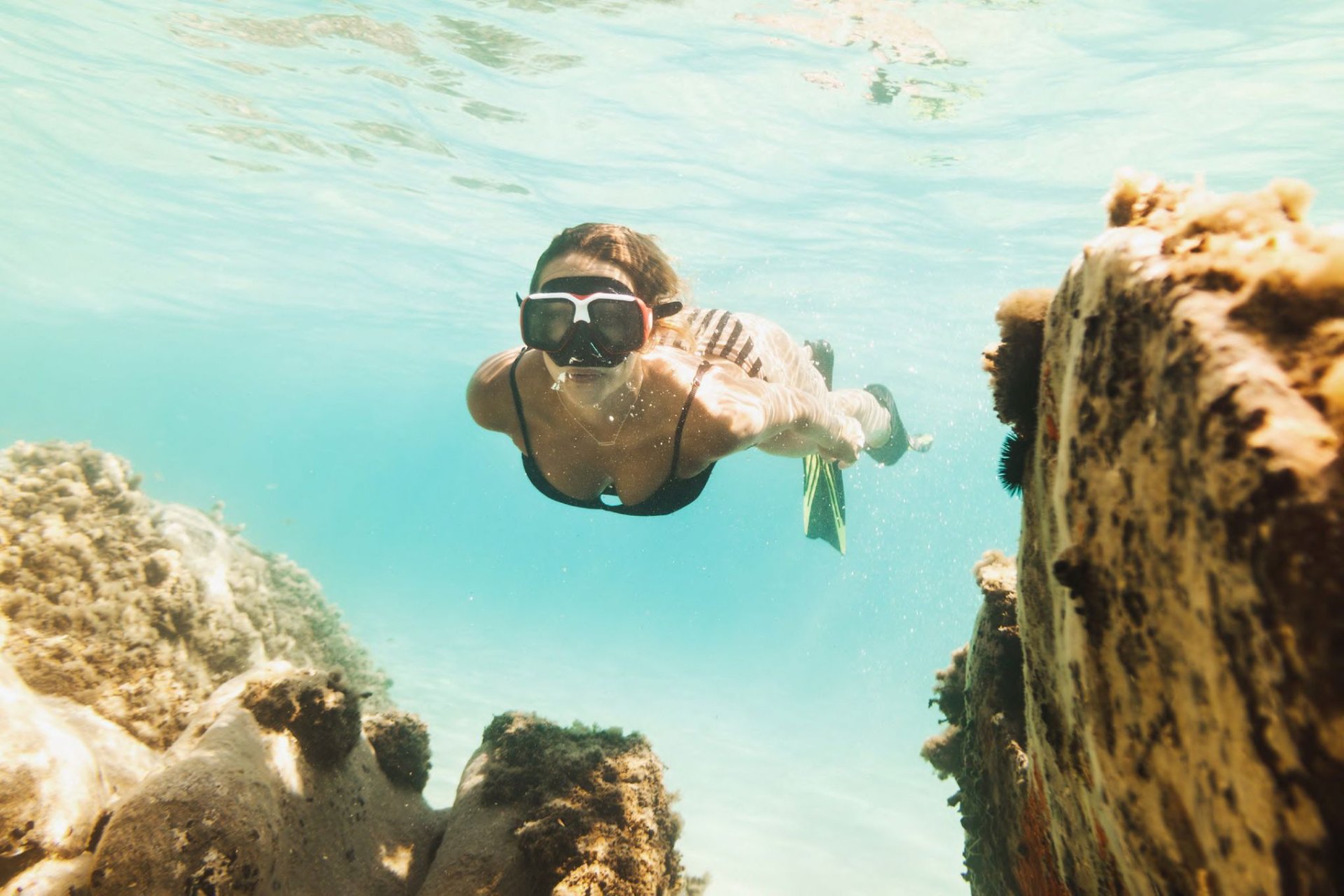 Obra nueva - Apartamento -
La Manga del Mar Menor