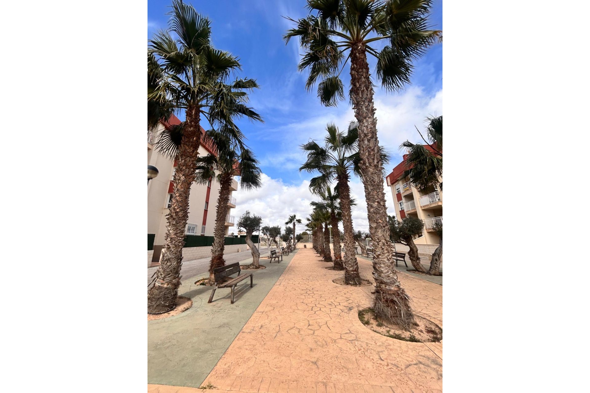 Obra nueva - Apartamento -
Orihuela Costa - Orihuela