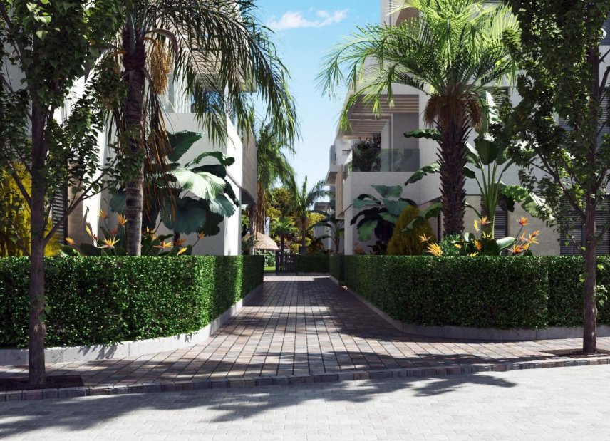 Obra nueva - Apartamento -
Torre-Pacheco