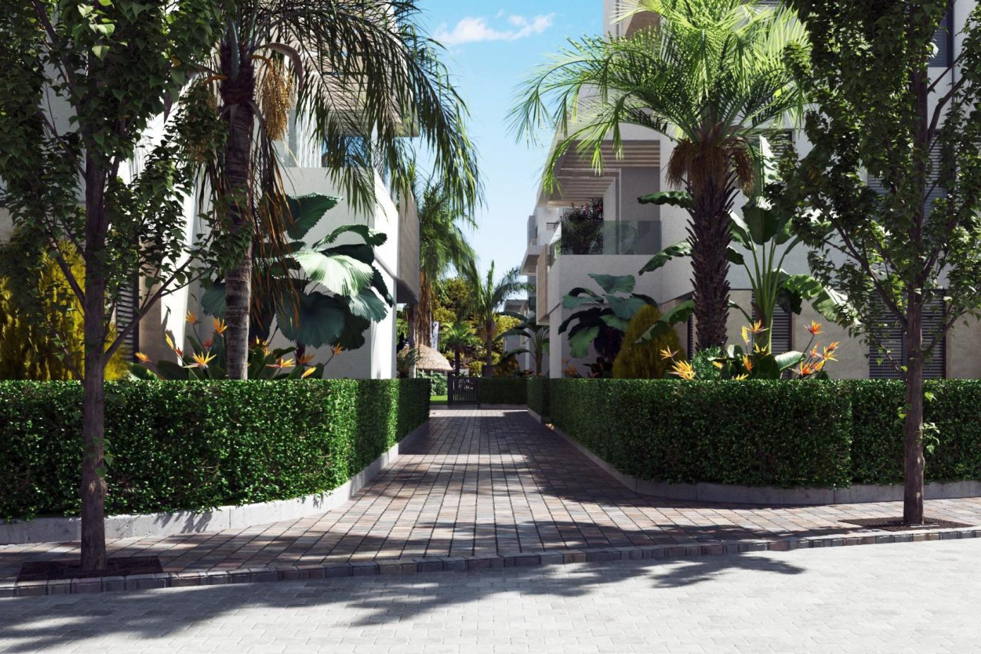 Obra nueva - Apartamento -
Torre-Pacheco