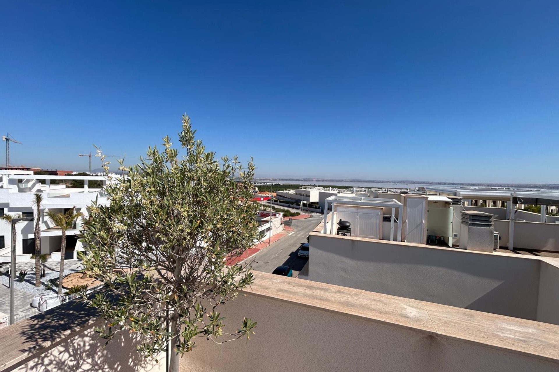 Obra nueva - Apartamento -
Torrevieja