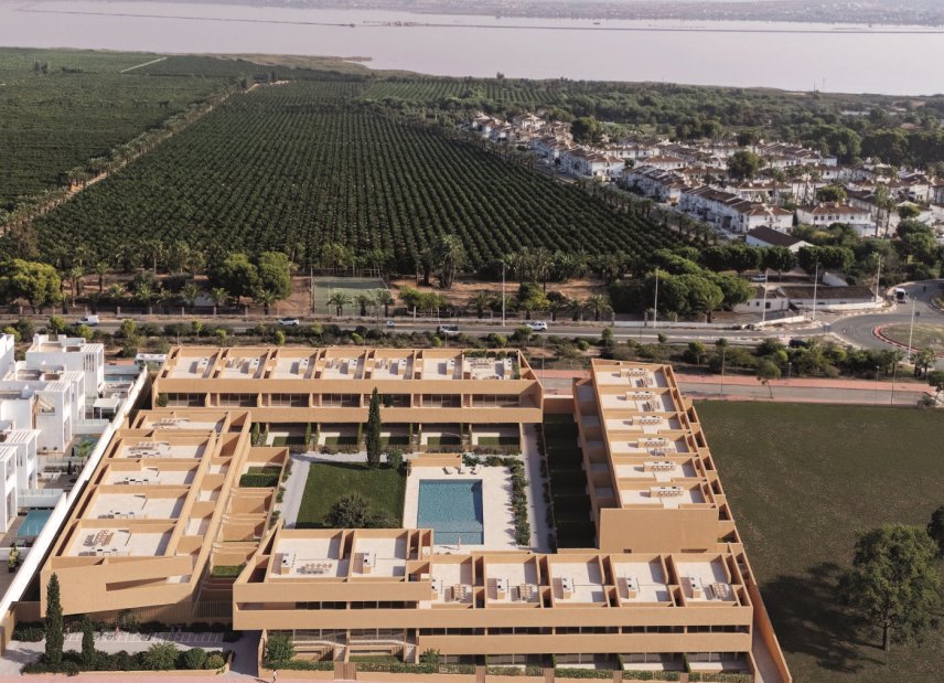 Obra nueva - Apartamento -
Torrevieja