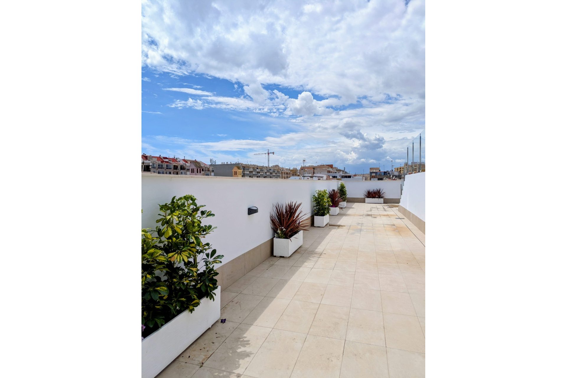 Obra nueva - Apartamento -
Torrevieja