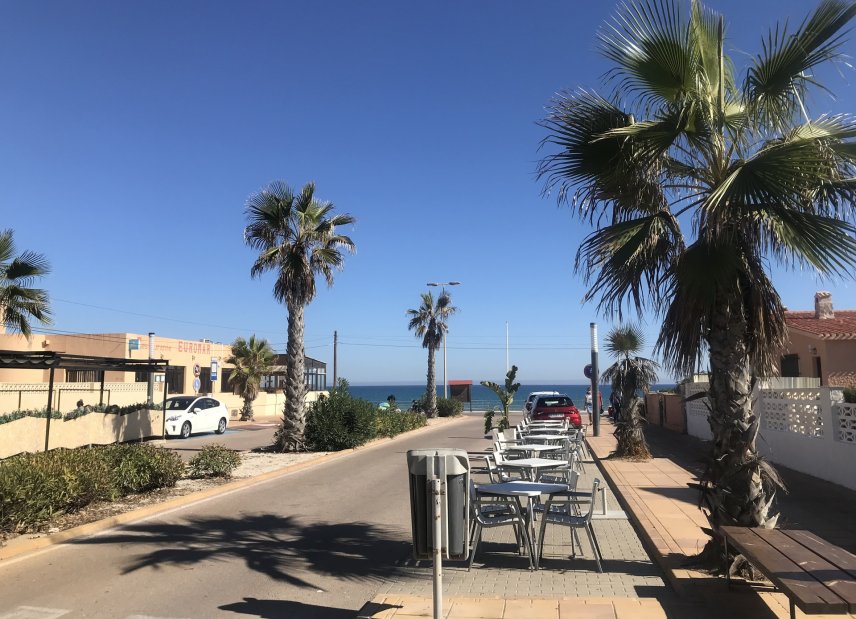 Obra nueva - Villa -
La Mata