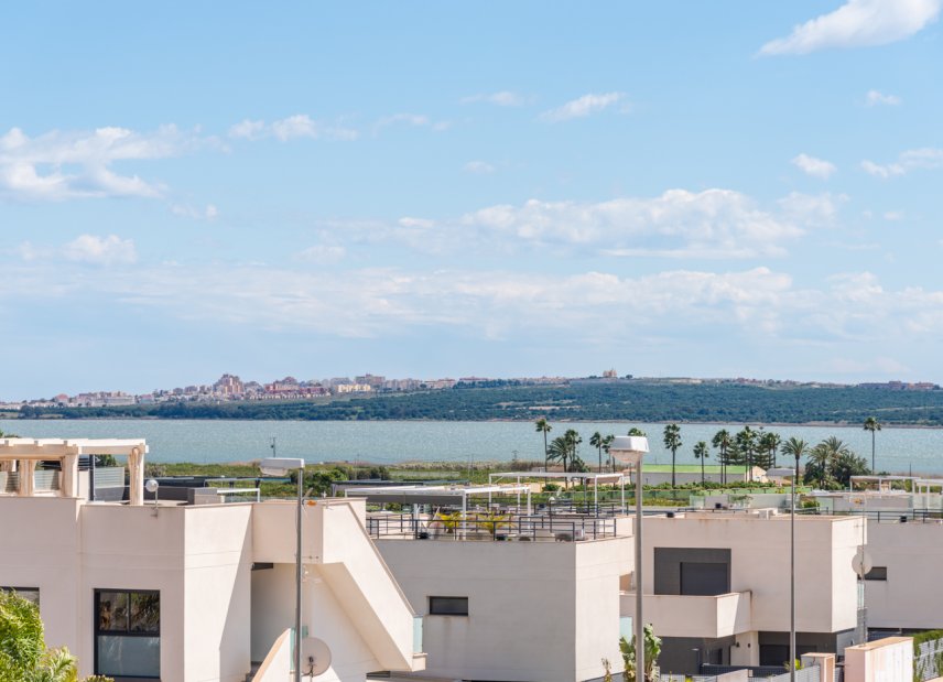 Obra nueva - Villa -
Los Montesinos