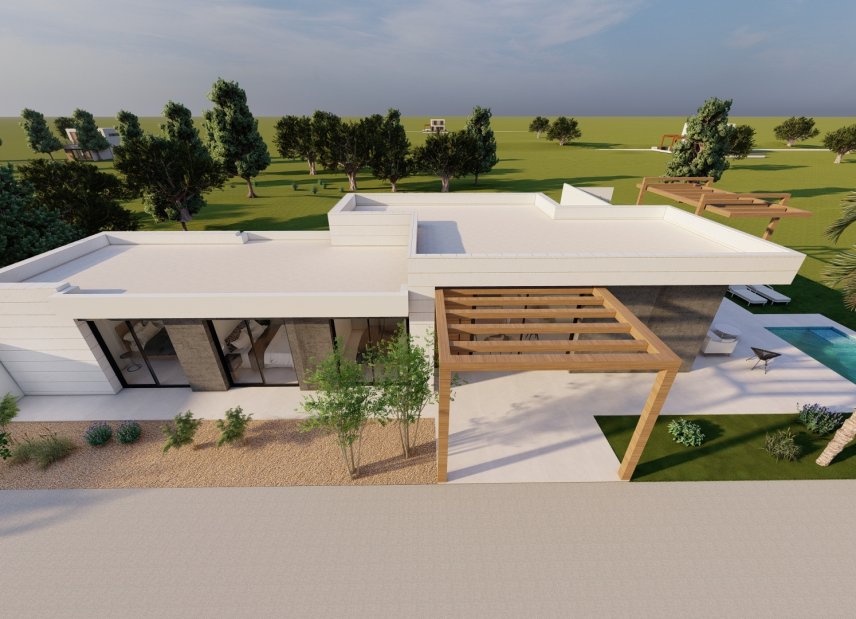 Obra nueva - Villa -
Pilar de la Horadada