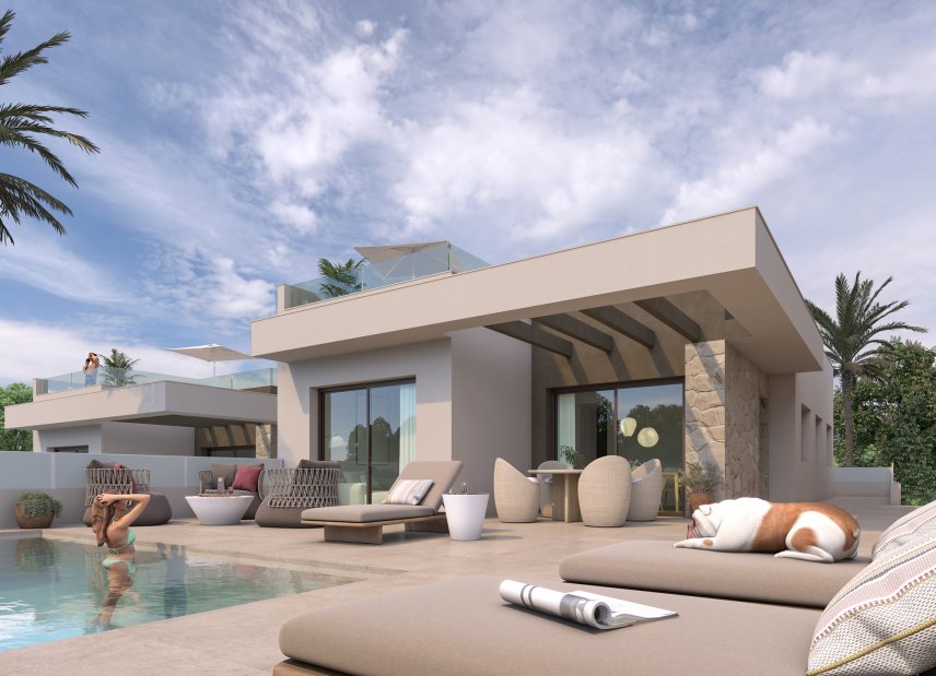 Obra nueva - Villa -
Rojales