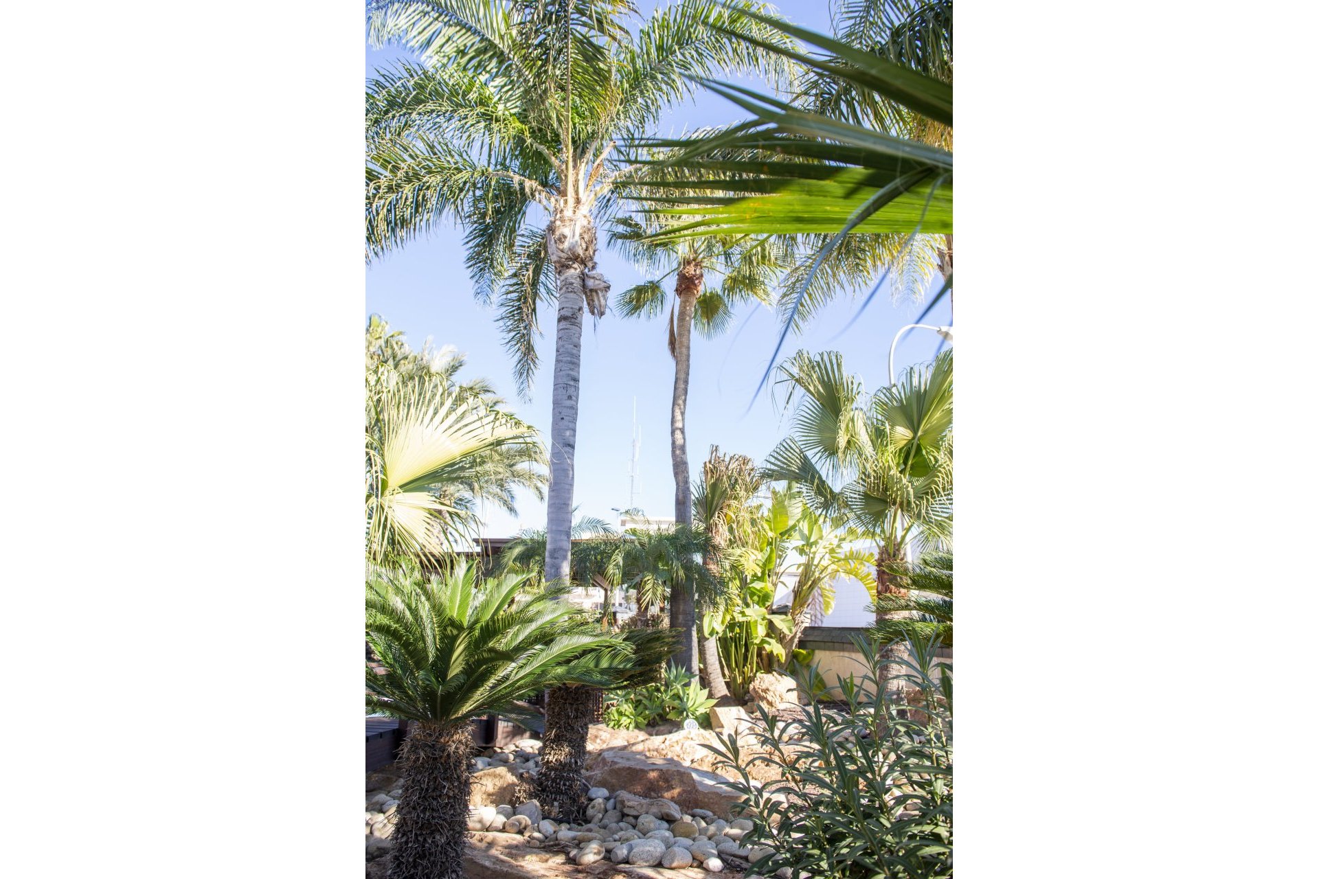 Obra nueva - Villa -
San Pedro del Pinatar