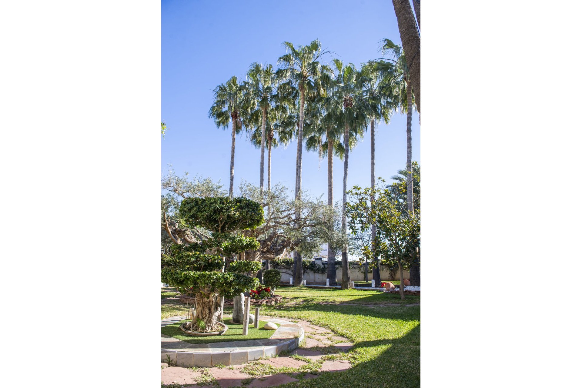 Obra nueva - Villa -
San Pedro del Pinatar