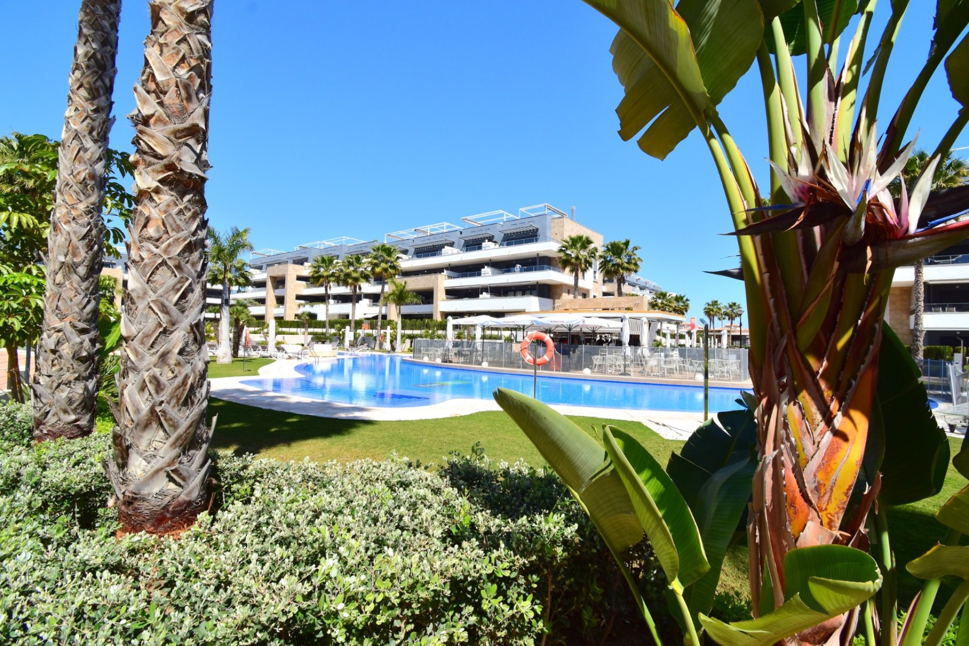 Resale - Apartment -
Orihuela Costa - Playa Flamenca
