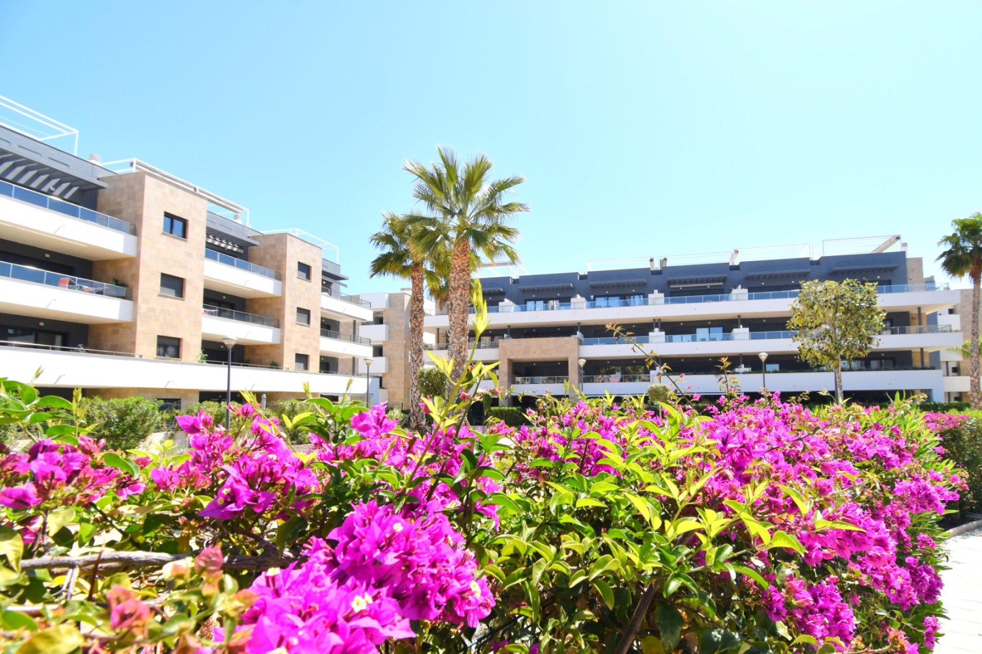 Reventa - Apartamento -
Orihuela Costa - Playa Flamenca