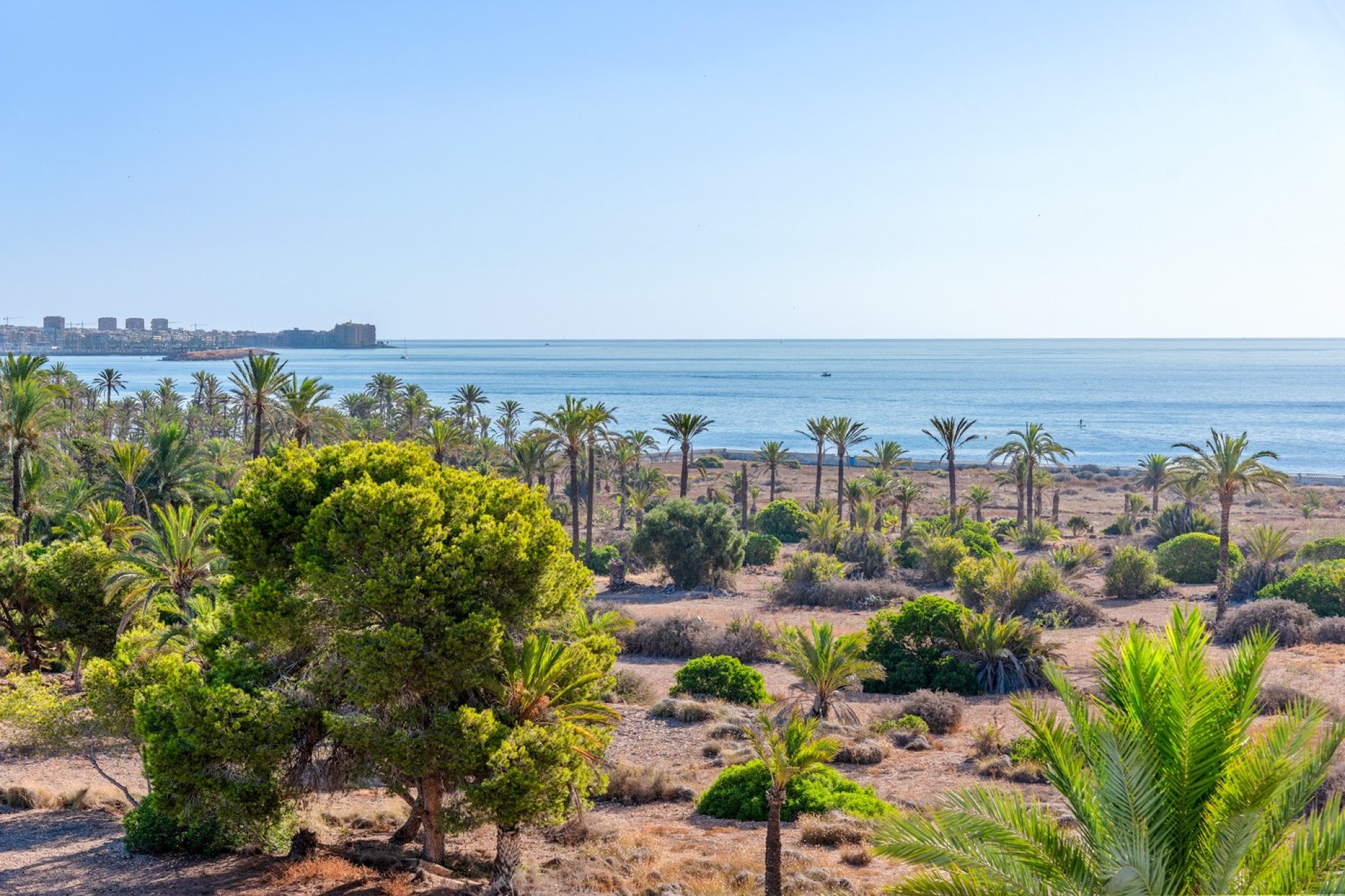 Reventa - Apartamento -
Orihuela Costa - Punta Prima