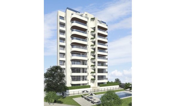 Obra nueva - Apartamento -
Guardamar del Segura