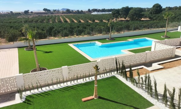 Obra nueva - Villa -
Pilar de la Horadada