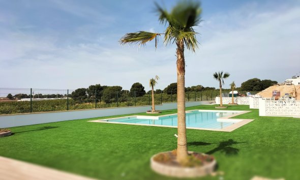 Obra nueva - Villa -
Pilar de la Horadada
