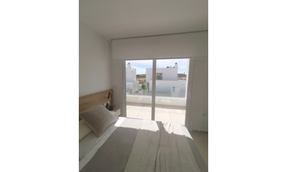Obra nueva - Villa -
Entrenaranjos
