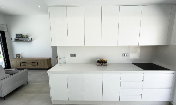 Obra nueva - Villa -
Pinar de Campoverde