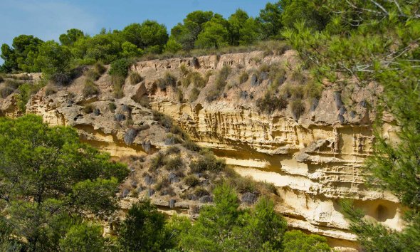 Obra nueva - Villa -
Pinar de Campoverde