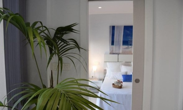 Obra nueva - Villa -
Benijofar