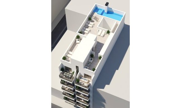 Obra nueva - Apartamento -
Torrevieja