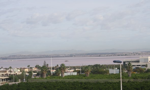 Obra nueva - Adosado -
Torrevieja