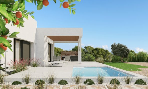 Obra nueva - Villa -
Dehesa de Campoamor