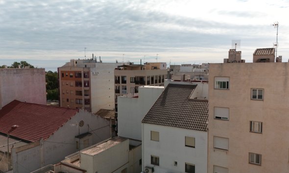 Obra nueva - Apartamento -
Guardamar del Segura