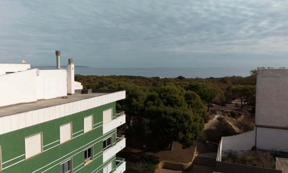 Obra nueva - Apartamento -
Guardamar del Segura