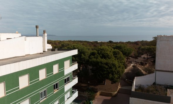 Obra nueva - Apartamento -
Guardamar del Segura