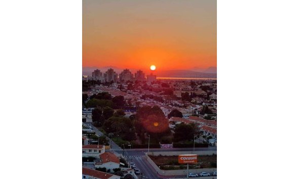 Reventa - Apartamento -
Torrevieja - Playa Los Locos