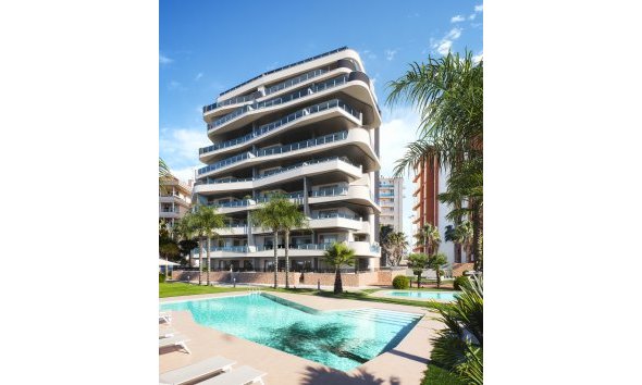 Obra nueva - Apartamento -
Guardamar del Segura