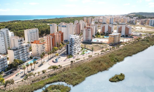 Obra nueva - Apartamento -
Guardamar del Segura