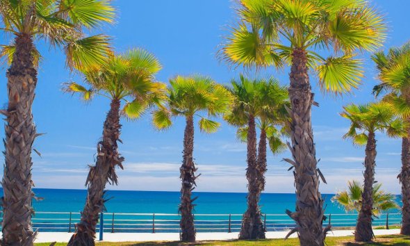 Nybyggeri - Rækkehus -
Orihuela Costa