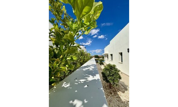 Obra nueva - Villa -
Benijofar