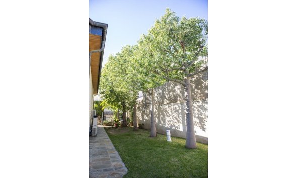 Obra nueva - Villa -
San Pedro del Pinatar
