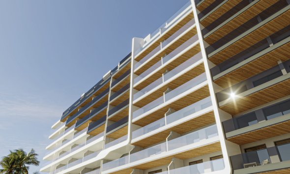 Obra nueva - Apartamento -
Torrevieja