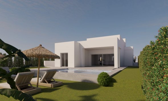 Obra nueva - Villa -
Algorfa