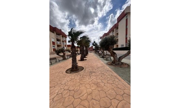 New Build - Apartment -
Orihuela Costa