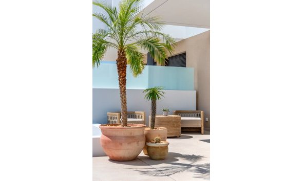 Nybyggeri - Rækkehus -
Dolores