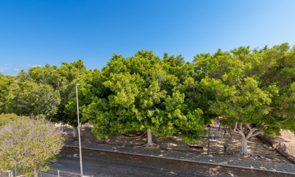 Nybyggeri - Villa -
Pilar de la Horadada