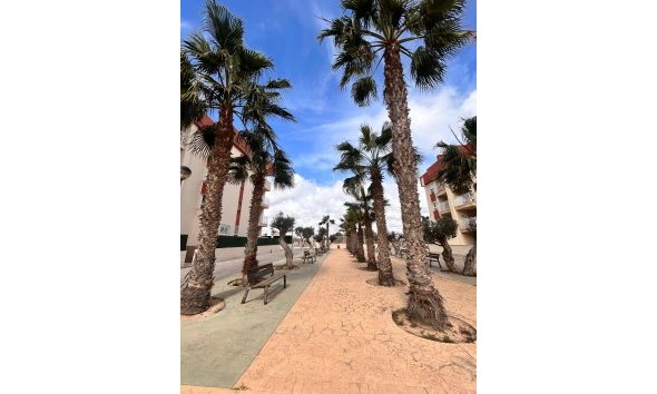 Obra nueva - Apartamento -
Orihuela Costa - Orihuela