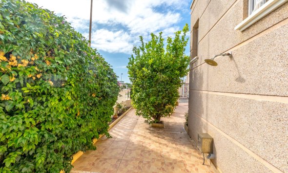 Gensalg - Rækkehus -
Torrevieja